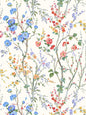 Old World Weavers Potpourri Garden Multi Wallcovering