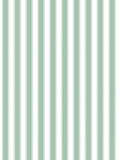 Scalamandre Piano Stripe Endive Wallcovering