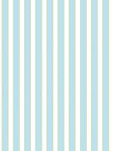 Scalamandre Piano Stripe Robin's Egg Wallcovering