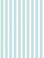 Scalamandre Piano Stripe Robin's Egg Wallcovering