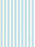 Scalamandre Piano Stripe Robin's Egg Wallcovering