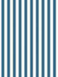 Scalamandre Piano Stripe Porcelain Wallcovering