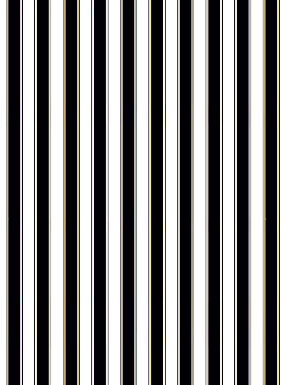 Scalamandre Piano Stripe Ebony Wallcovering