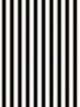 Scalamandre Piano Stripe Ebony Wallcovering