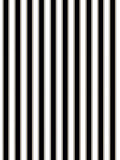 Scalamandre Piano Stripe Ebony Wallcovering