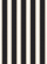 Scalamandre Accordion Stripe Onyx Wallcovering