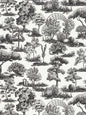 Scalamandre Garden Toile Onyx Wallcovering