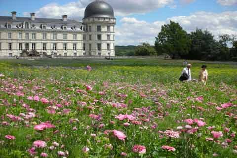 By Yard Scalamandre Valencay Green French Toile Grass Honeysuckle Wild Flowers Meadow Cream French Country MSRP USD 132/Y