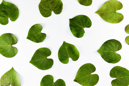 Old World Weavers Silk Leaves Stripe Azure Blue Foliage MSRP USD216/y by yard