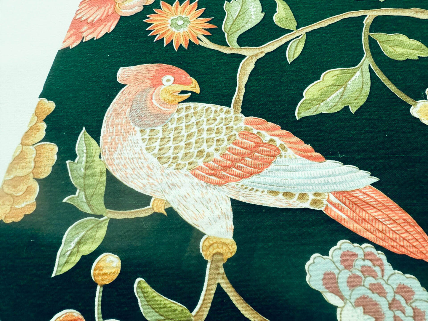 Scalamandre Old World Weavers Troutbeck Parrot Kanchou Tropical Bird in Tree of Life Peony Deep Green Spectacular MSRP USD420/Y