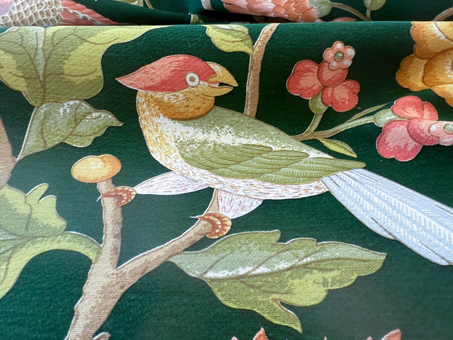 Scalamandre Old World Weavers Troutbeck Parrot Kanchou Tropical Bird in Tree of Life Peony Deep Green Spectacular MSRP USD420/Y