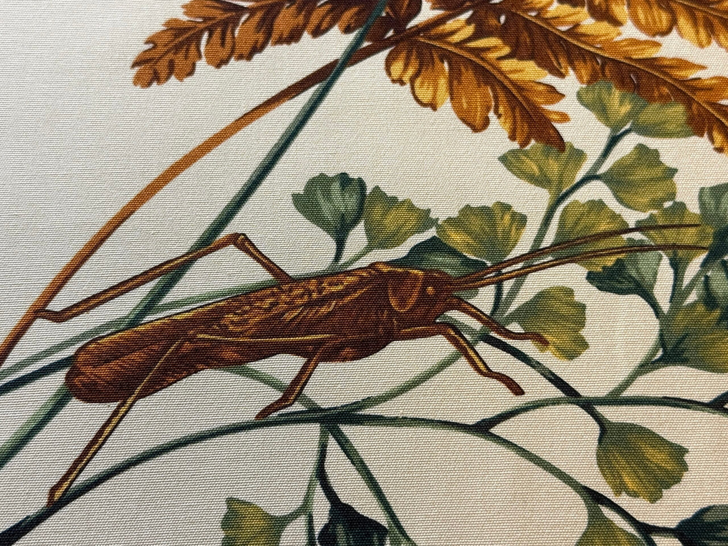 By Yard Scalamandre Old World Weavers Felce Cotton Fern *Yellow* Frog Turtle Dragonfly Frog Newt MSRP USD 276/Y