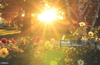 By Yard Filtered Sunray 100% Silk Damask Vine in Pin Stripe Paisley Crimson Red Gold Strie MSRP USD 275