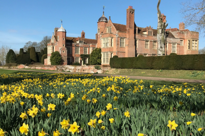 By Yard Scalamandre Old World Weavers Kentwell Brick Olive Wheat English Chintz Linen Heavy MSRP USD 324/Y