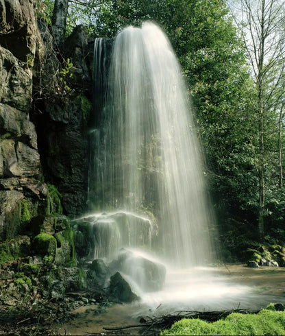 Scalamandre Kilfane Lemon Yellow Acanthus Renaissance Silk Lampas MSRP USD 390/y