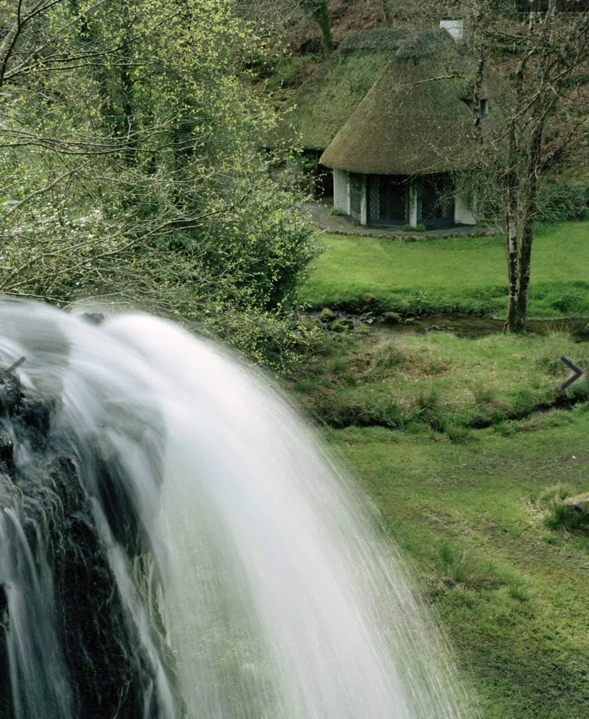 Scalamandre Kilfane Lemon Yellow Acanthus Renaissance Silk Lampas MSRP USD 390/y