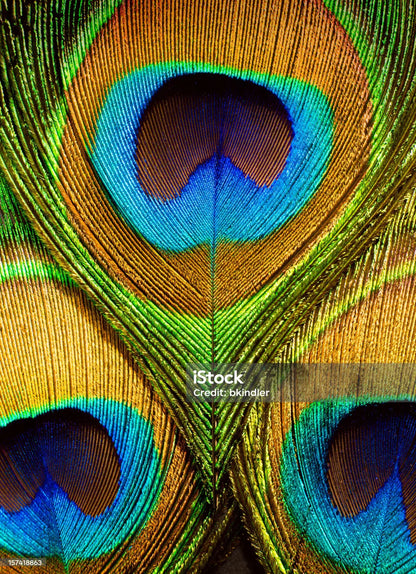 High End 100% Silk Lampas "sapphire" Blue Peacock Diamond Chartreuse Green Harlequin