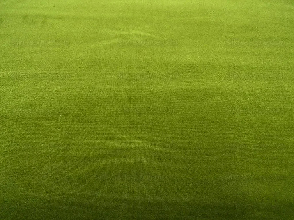 Bty Scalamandre Indus Velvet Olive Green Supple Italy MSRP USD 174/Y