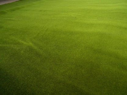 Bty Scalamandre Indus Velvet Olive Green Supple Italy MSRP USD 174/Y