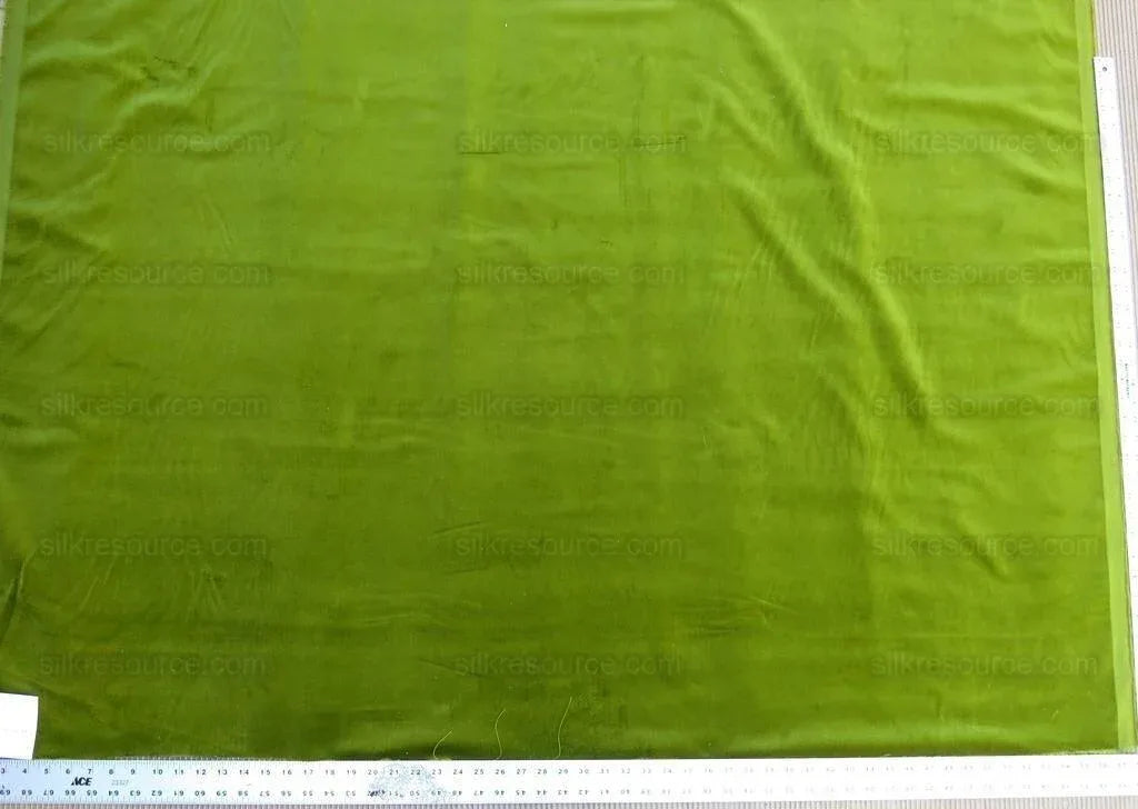 Bty Scalamandre Indus Velvet Olive Green Supple Italy MSRP USD 174/Y