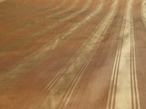 KRAVET COUTURE MANISSE MOIRE STRIPE "NUTMEG" SILK MSRT$157/Y