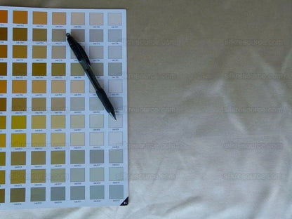 BY Yard Kravet Sophia Silk Bone White Silk Satin for Bridal Wedding Dress MSRP USD 169.90/y