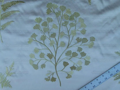 Scalamandre Hill Stead Spring Pale Green Fern Embroidery MSRP$/112