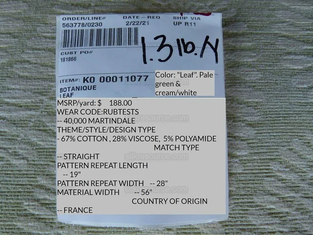 Scalamandre Botanique Fh Leaf Pale Green Fern Foliage Cotton MSRP USD 188/Y
