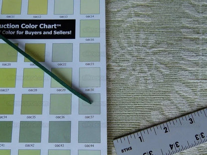 Scalamandre Botanique Fh Leaf Pale Green Fern Foliage Cotton MSRP USD 188/Y