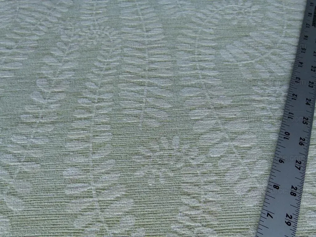 Scalamandre Botanique Fh Leaf Pale Green Fern Foliage Cotton MSRP USD 188/Y