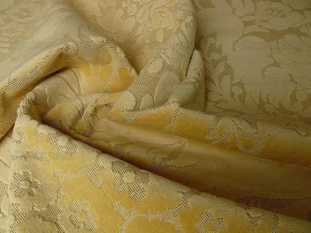 Scalamandre Velvet "elenora" Yellow Gold Renaissance
