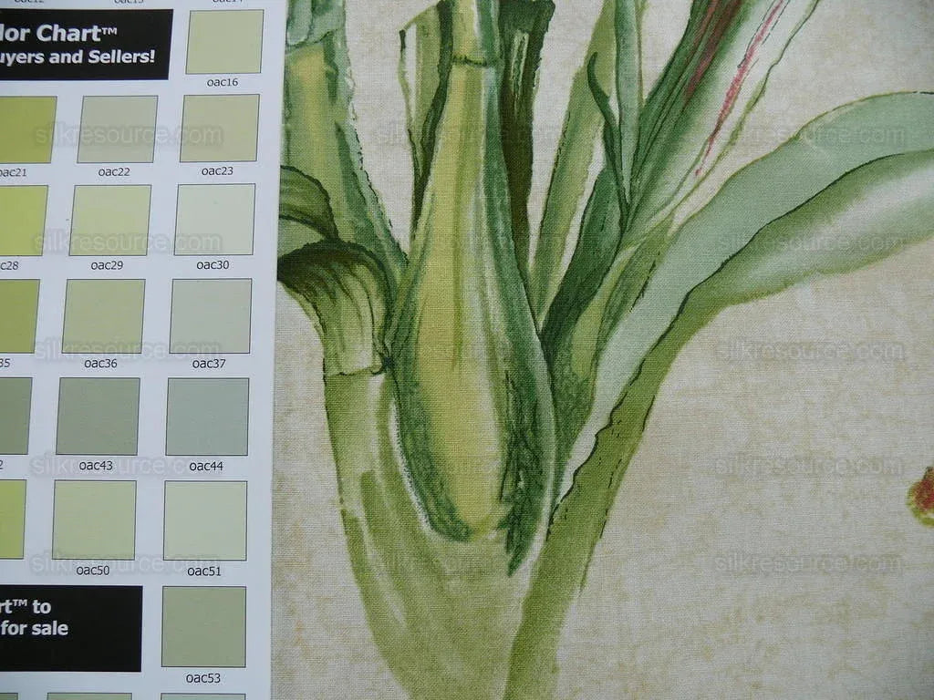 Lee Jofa/groundworks 6.3yd Les Orchidees Print Sand/coral MSRP USD 2