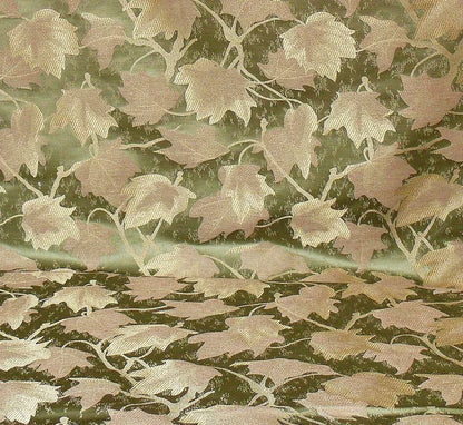 JAPANESE MAPLE "HAZE" SAGE GREEN AND GOLD LEAF