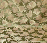 JAPANESE MAPLE "HAZE" SAGE GREEN AND GOLD LEAF