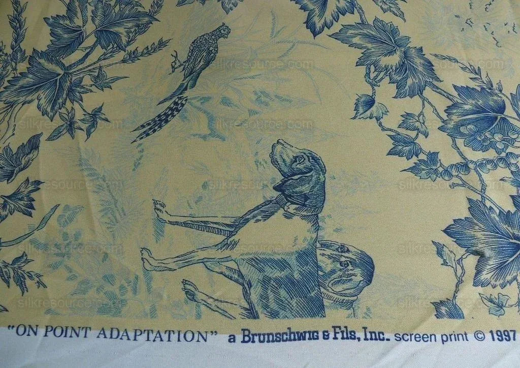 Brunschwig & Fils On Point Adaptation Toile Print Bty