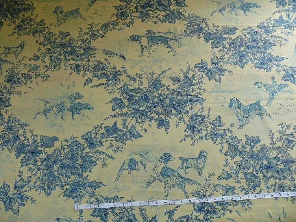 Brunschwig & Fils On Point Adaptation Toile Print Bty