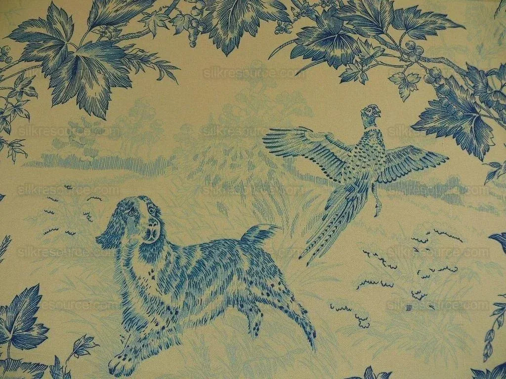 Brunschwig & Fils On Point Adaptation Toile Print Bty