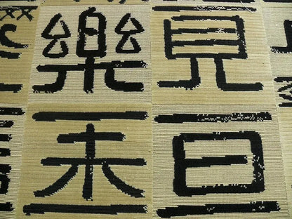 Clarence House Black Kanji Cut Velvet MSRP USD 326/Y Bty