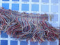 By Yard Scalamandre Loose Fringe Red Blue and White Rayon Blend
