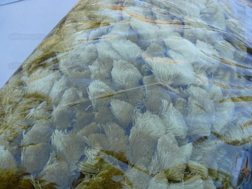 Scalamandre 100% Silk Tassel Fringe Trim Amber &amp; Gold Yellow MSRP USD 259/Y