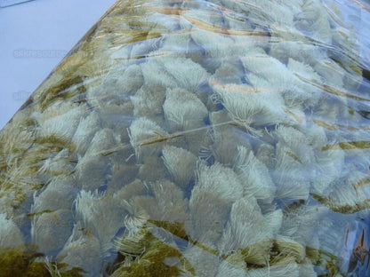 Scalamandre 100% Silk Tassel Fringe Trim Amber &amp; Gold Yellow MSRP USD 259/Y