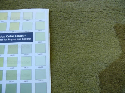 Hokanson Hand Tufted Gold Sage Green Wool Modern 8'x9'8"