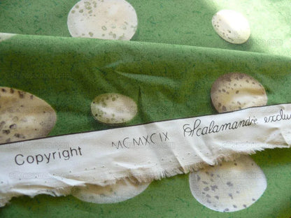 Scalamandre Bon Oeuf Trompe L'oeil Library Green Print Bty