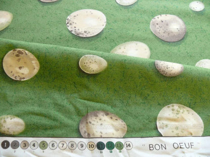 Scalamandre Bon Oeuf Trompe L'oeil Library Green Print Bty