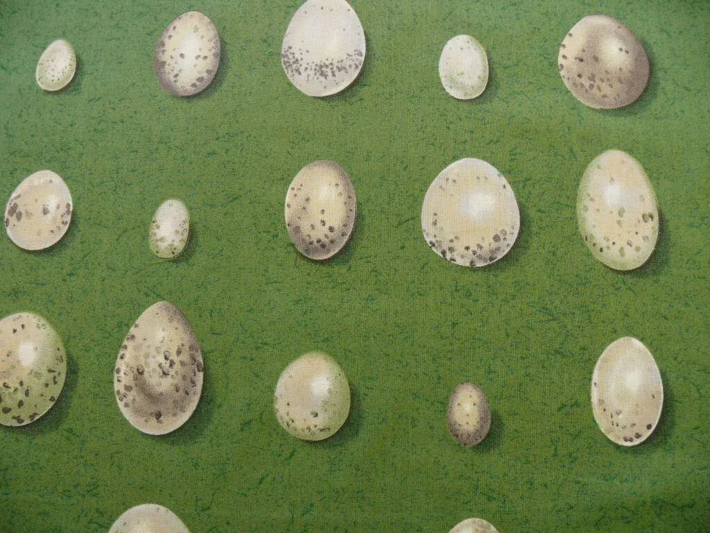 SCALAMANDRE BON OEUF TROMPE L'OEIL LIBRARY GREEN PRINT BTY