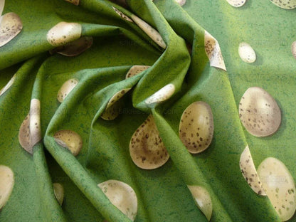 Scalamandre Bon Oeuf Trompe L'oeil Library Green Print Bty