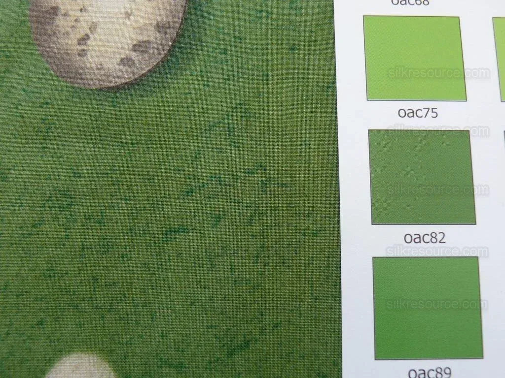 Scalamandre Bon Oeuf Trompe L'oeil Library Green Print Bty