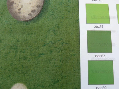 Scalamandre Bon Oeuf Trompe L'oeil Library Green Print Bty