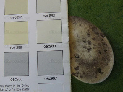 Scalamandre Bon Oeuf Trompe L'oeil Library Green Print Bty