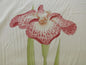 CLARENCE HOUSE MEIJI IRIS PRINT 27-COLORS on NATURAL